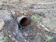 Imagine atasata: 20251209_164751.jpg